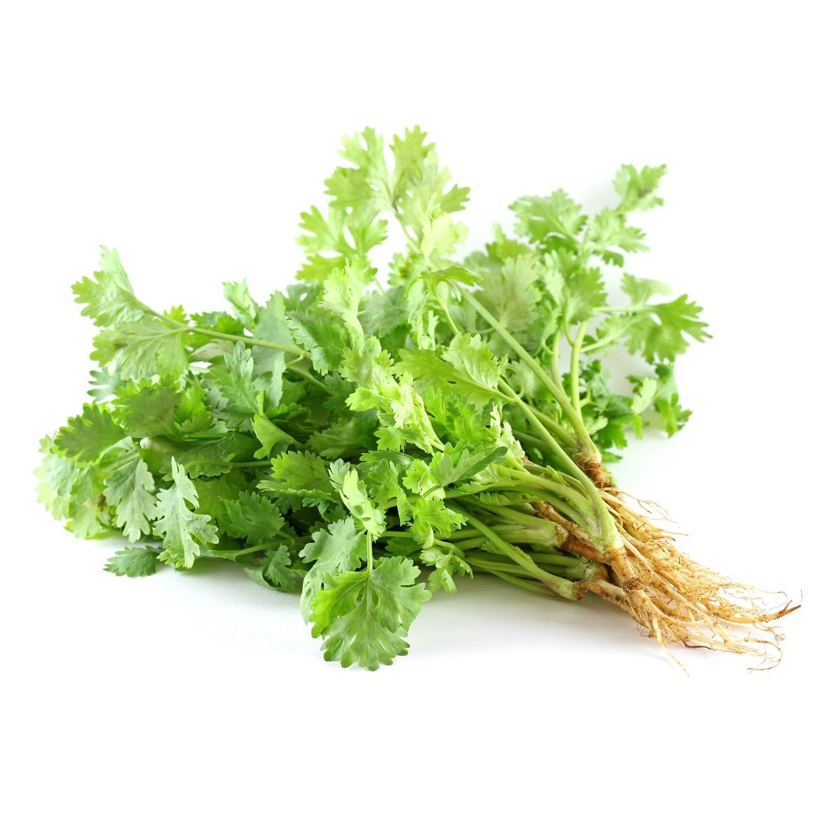 Fresh Coriander Leaves (kothamalli)-500g