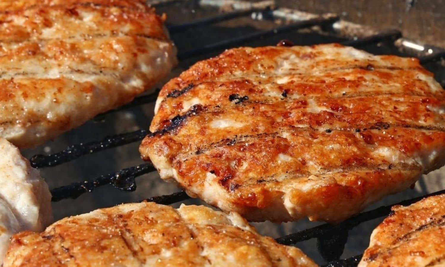 Turkey Burger Patties