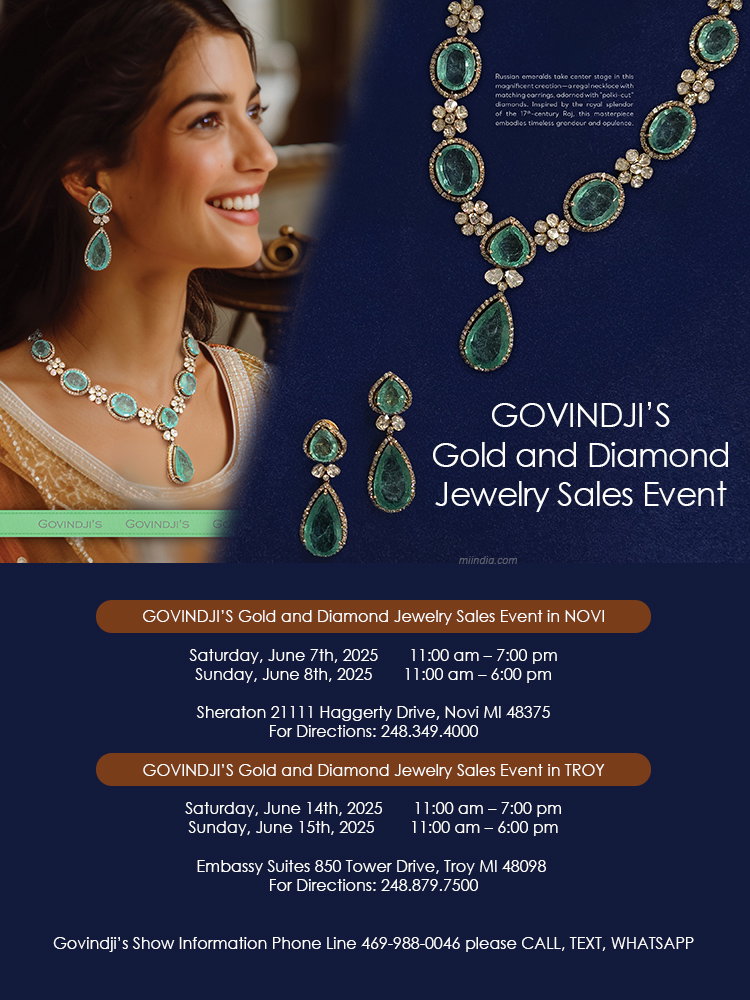 Miindia Detroit Michigan Indians Website