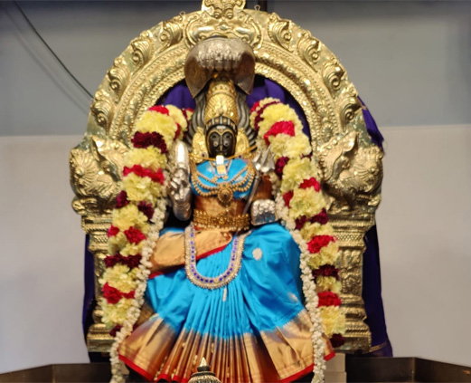 Miindia Detroit Michigan Indians Website